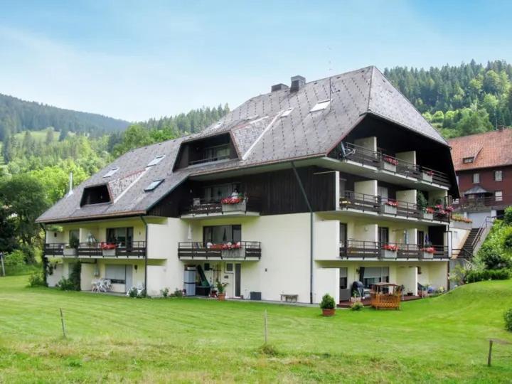 Apartment Schwinbachblick Mit 2 Balkonen St. Blasien