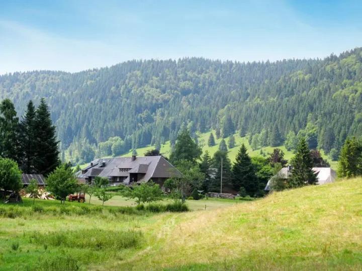 Apartment Schwinbachblick Mit 2 Balkonen St. Blasien