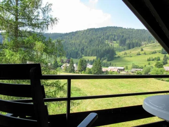 Schwinbachblick Mit 2 Balkonen Apartment *