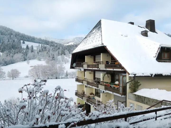 Apartment Schwinbachblick Mit 2 Balkonen St. Blasien