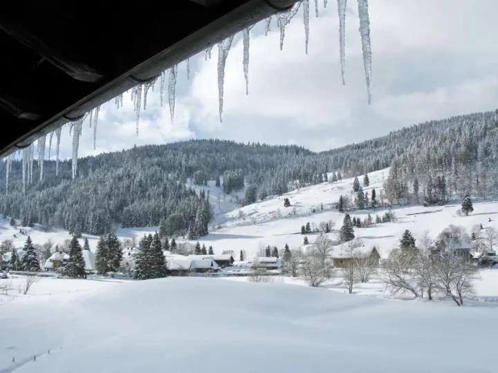 Apartment Schwinbachblick Mit 2 Balkonen *