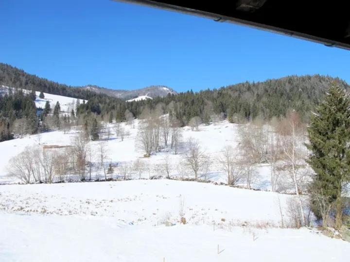Apartment Schwinbachblick Mit 2 Balkonen St. Blasien