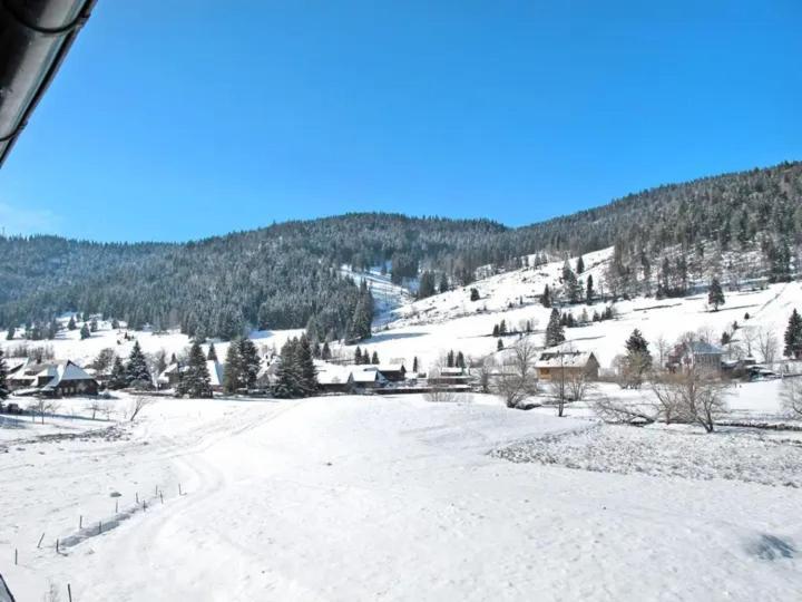 Apartment Schwinbachblick Mit 2 Balkonen St. Blasien