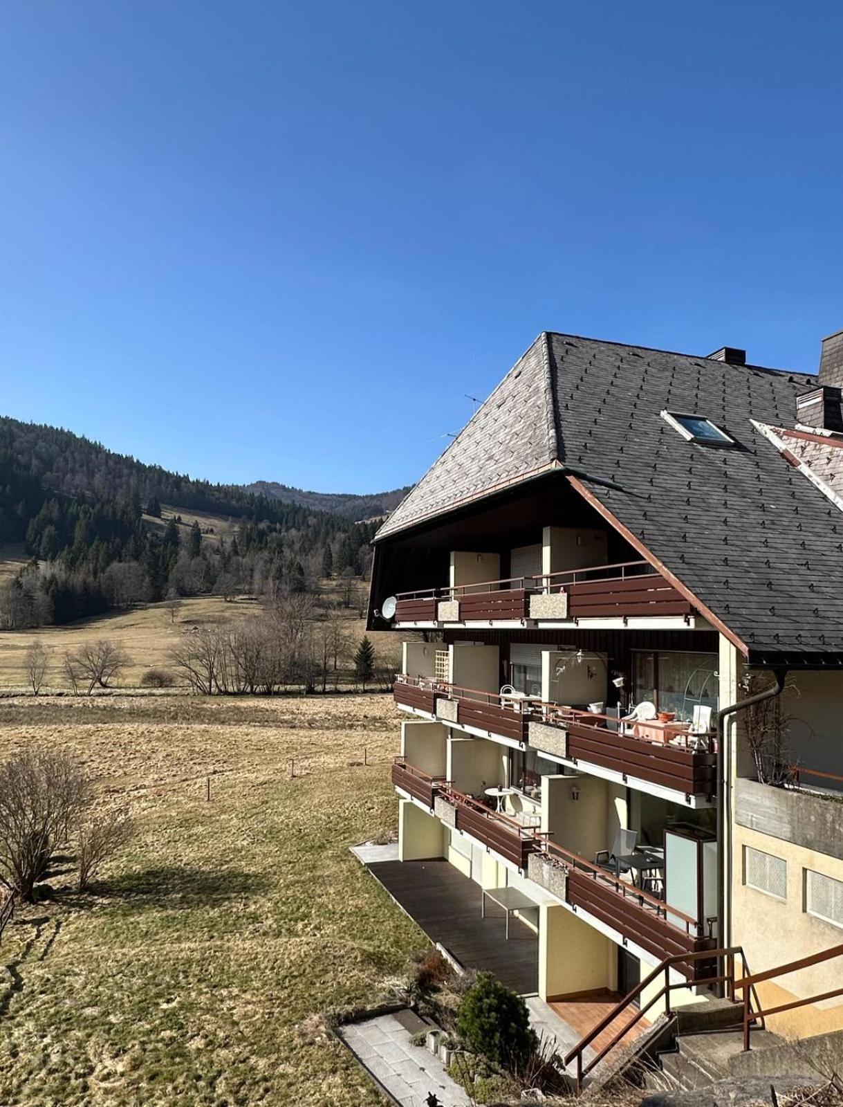 Apartment Schwinbachblick Mit 2 Balkonen St. Blasien