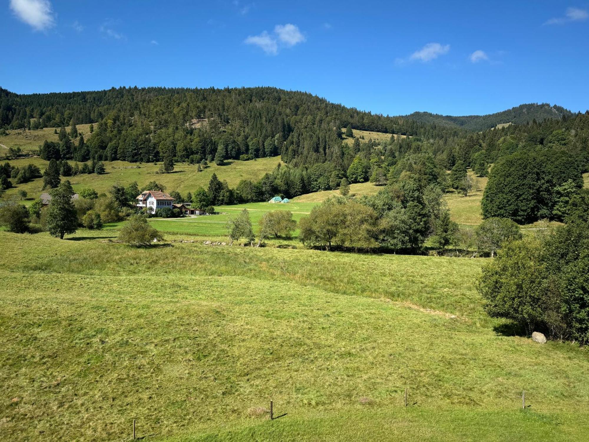 Apartment Schwinbachblick Mit 2 Balkonen St. Blasien